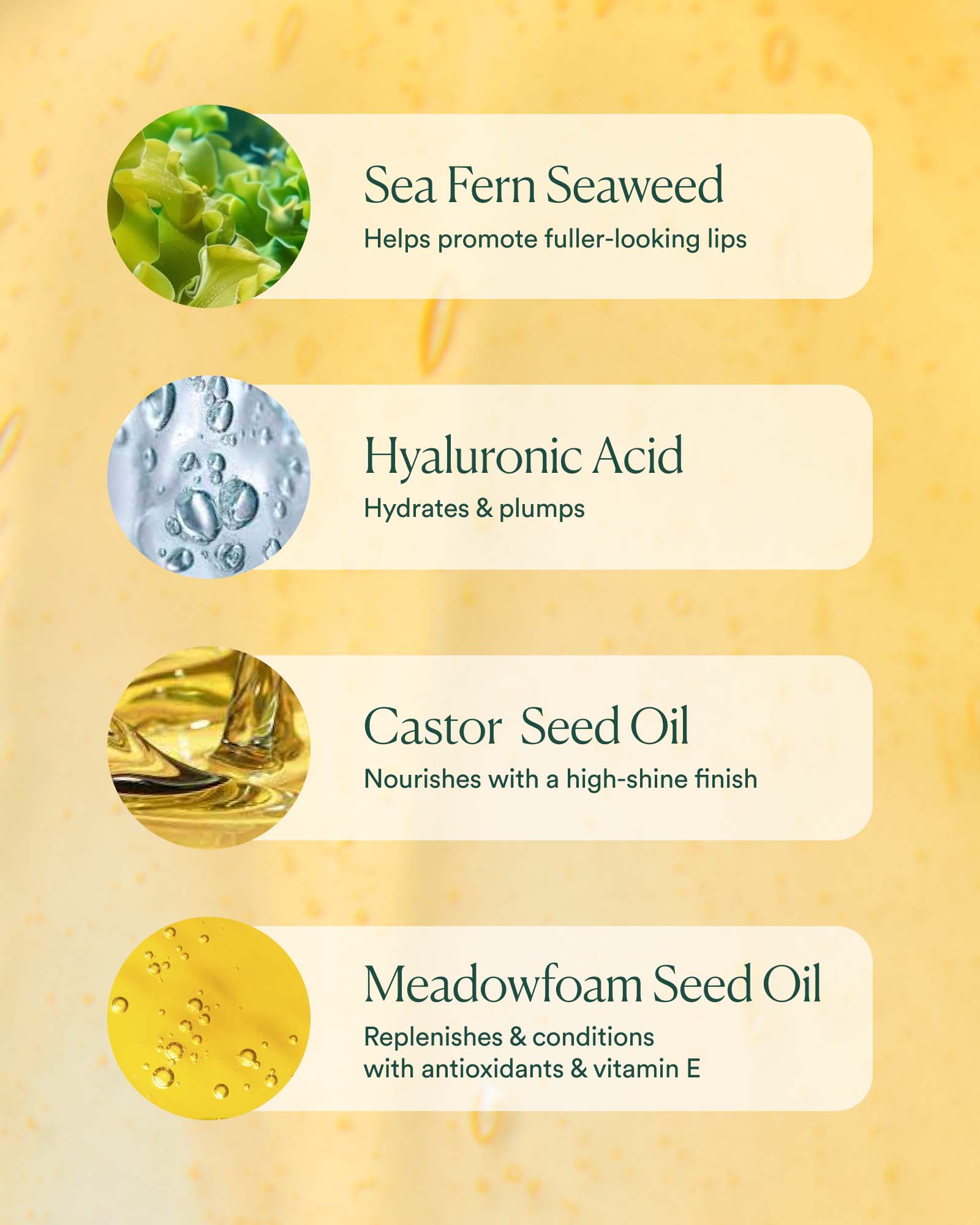 HLBO_PDP_INGREDIENT_1600x2000_6074ba0e-eaf8-495d-a3a7-2de9636704d4.jpg